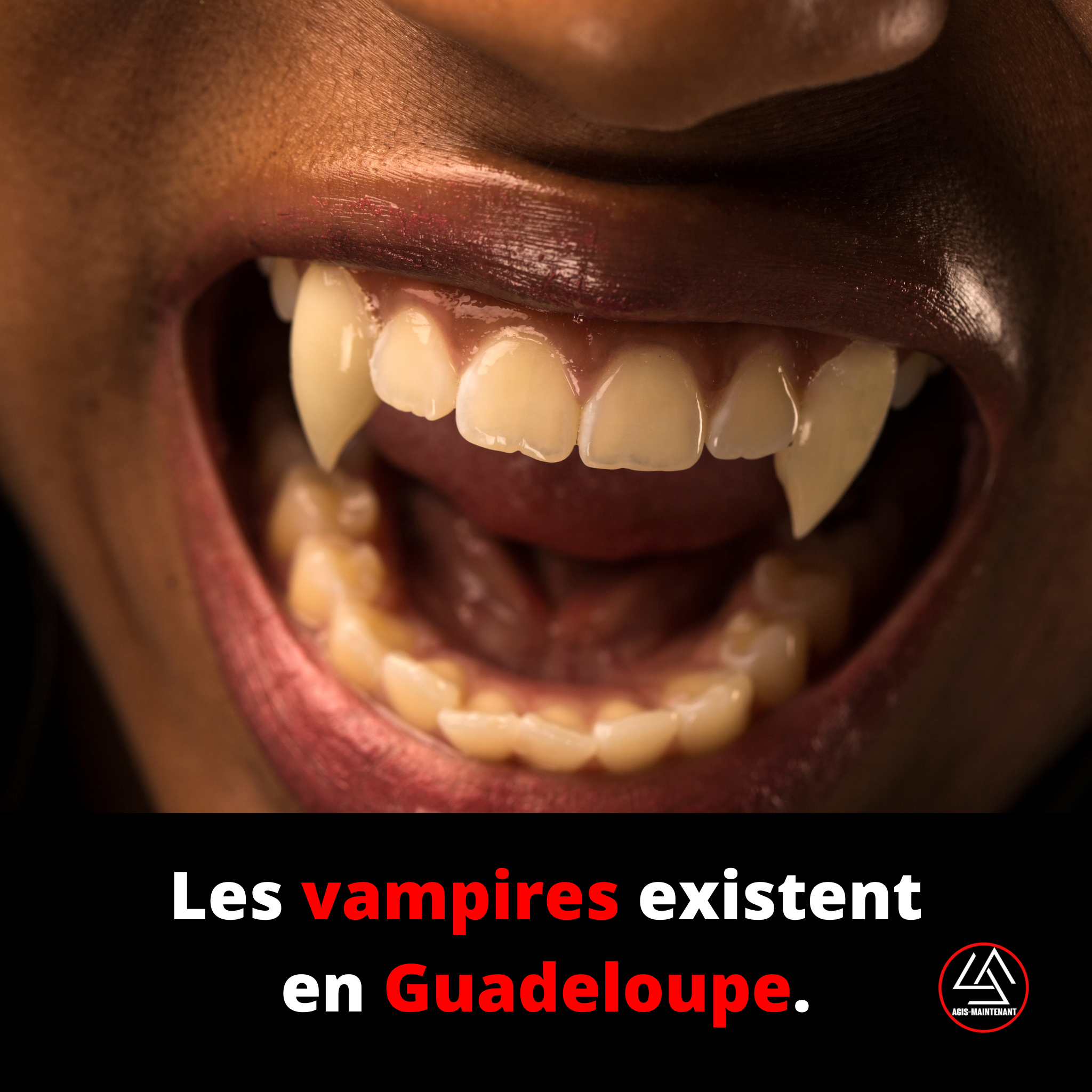 Les vampires existent en Guadeloupe.